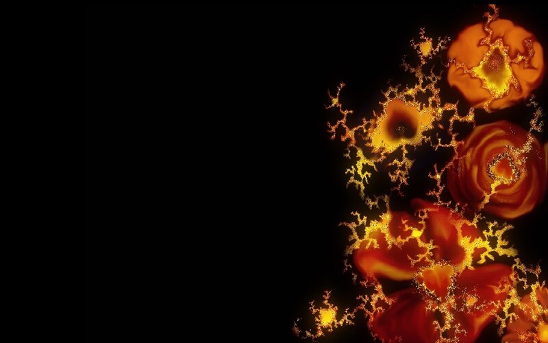 Fractal Flower Patterns — Black, Dramatic, Digital Art