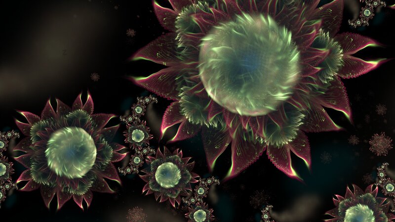 Fractal Flower Patterns — Black, Mystical