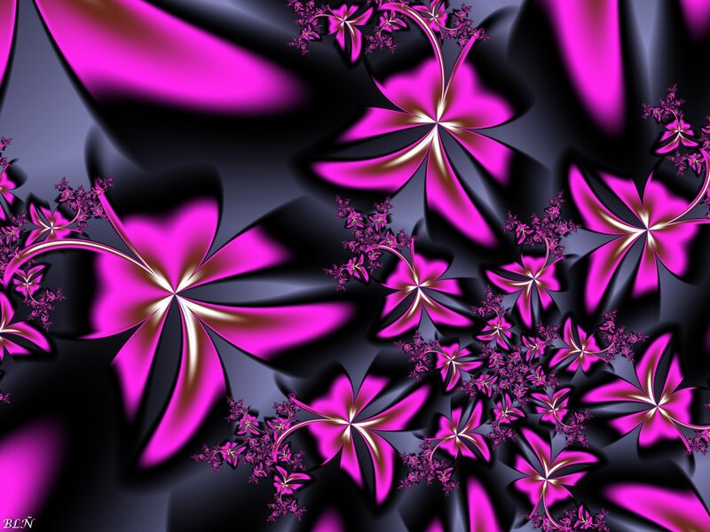 Fractal Flower Patterns — Magenta