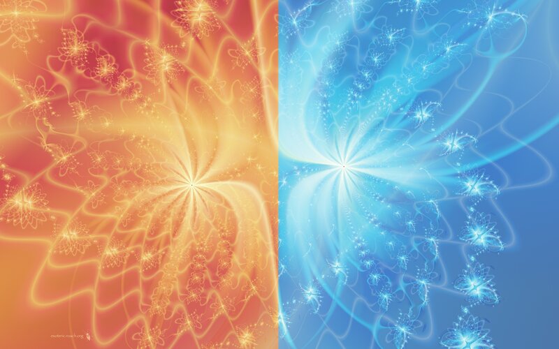 Fractal Flower Patterns — Orange, Hypnotic