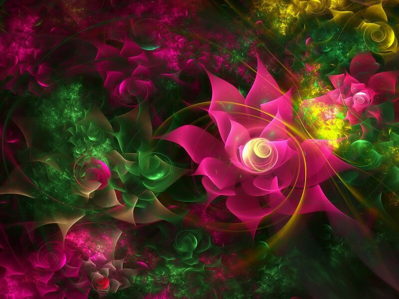 Fractal Flower Patterns — Pink, Vibrant, Digital Art, Flowers, Spirals, Light