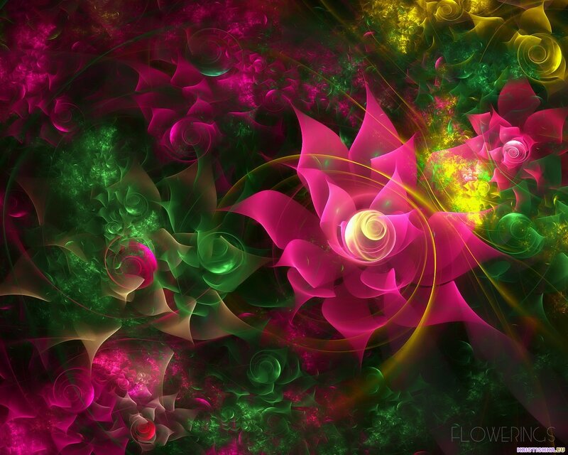 Fractal Flower Patterns — Pink, Vibrant