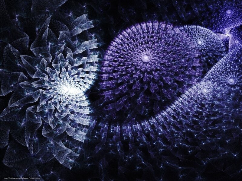 Fractal Flower Patterns — Purple, Mystical