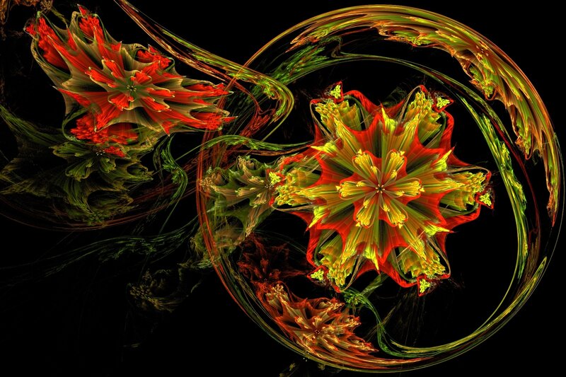 Fractal Flower Patterns — Red, Dramatic, Digital Art, Flowers