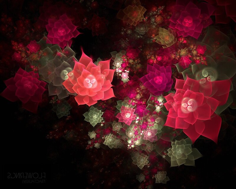 Fractal Flower Patterns — Red, Dreamy, Digital Art, Flowers, Light