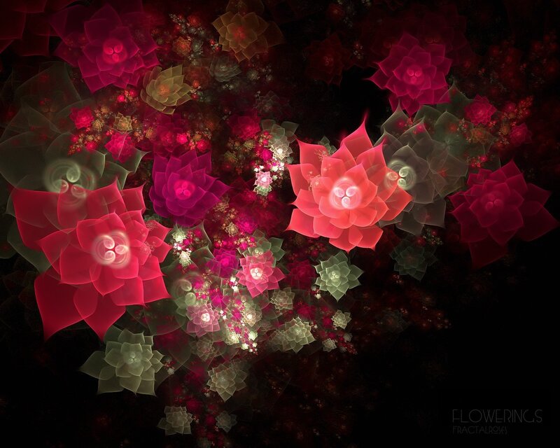 Fractal Flower Patterns — Red, Dreamy, Night