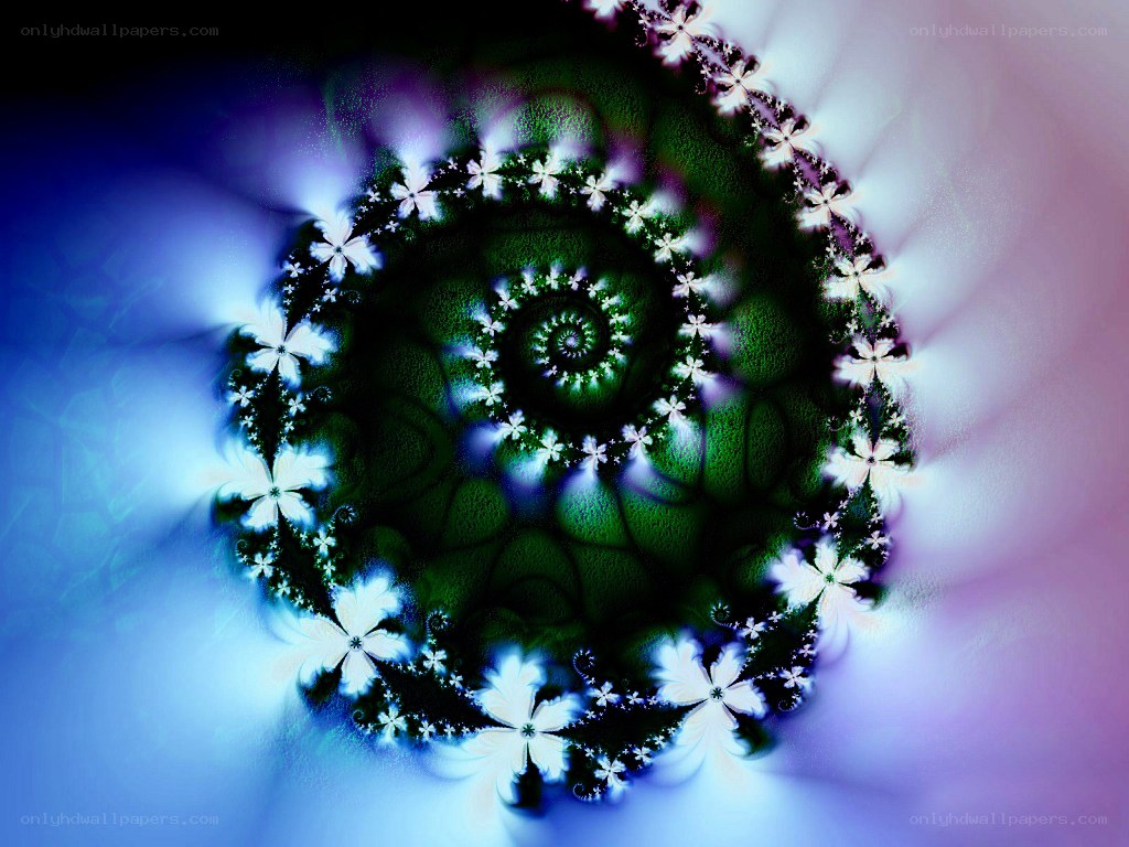 fractal flower spiral