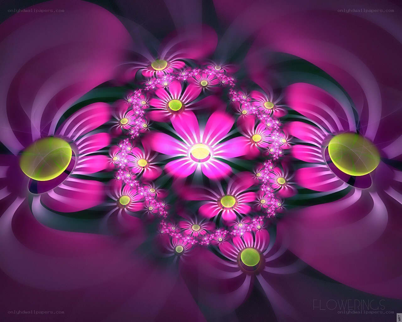 Fractal Flower Spiral