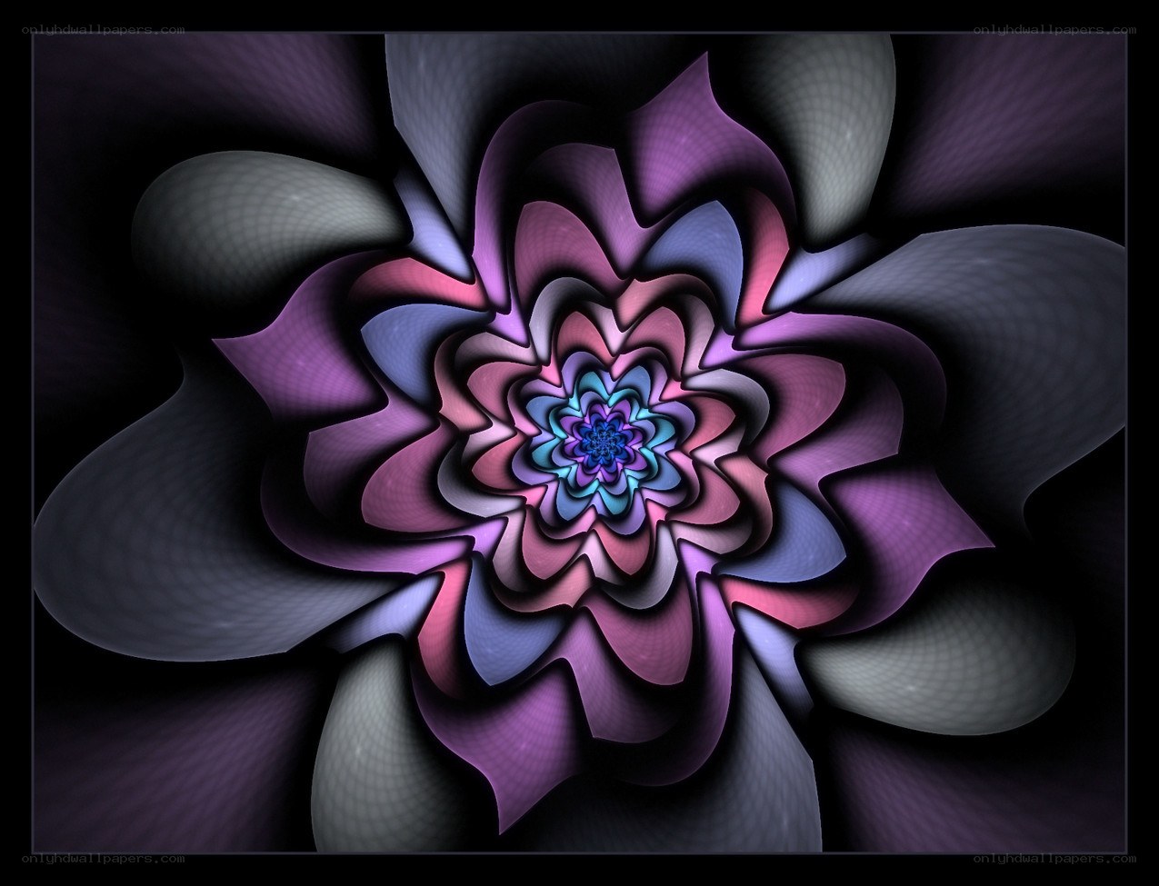 fractal flower spiral