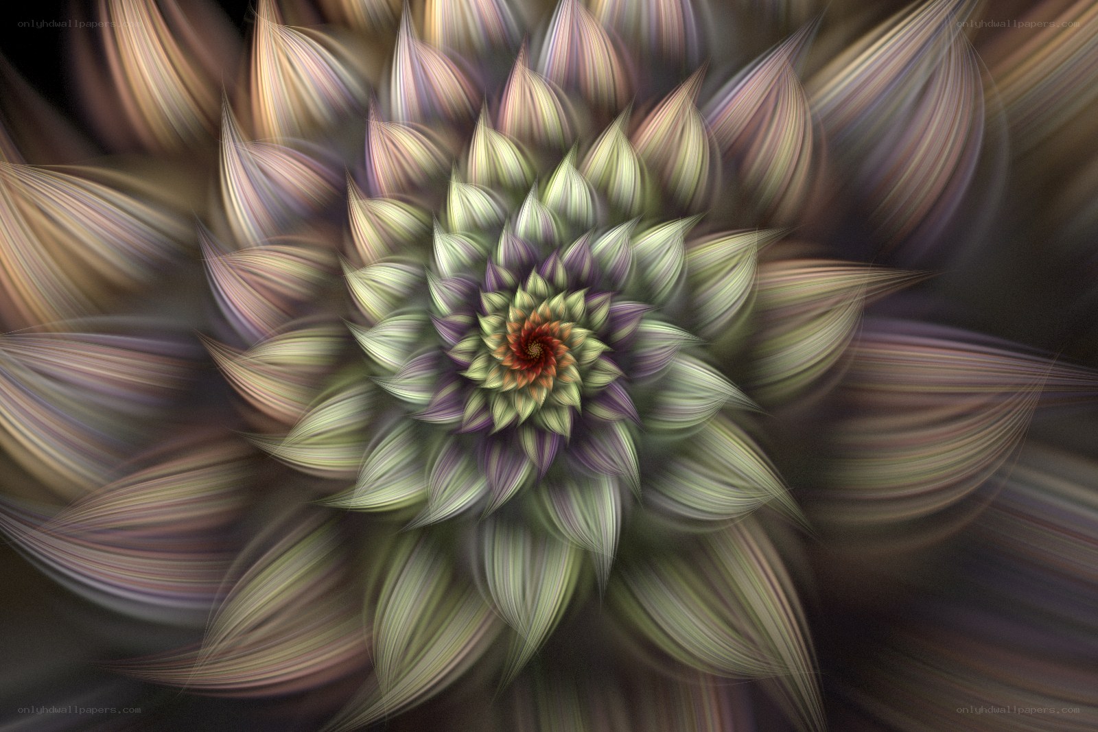 Fractal flower spiral