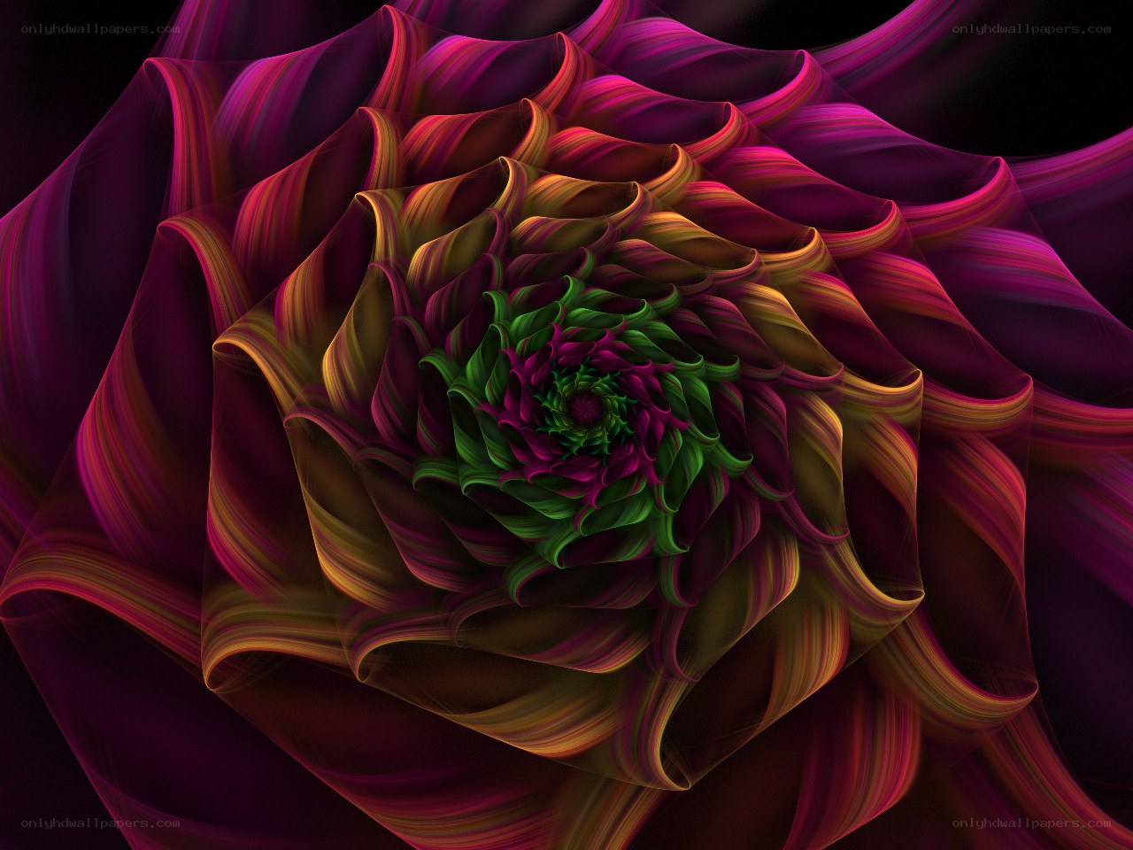 Fractal flower spiral