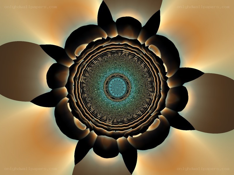 fractal flower tunnel