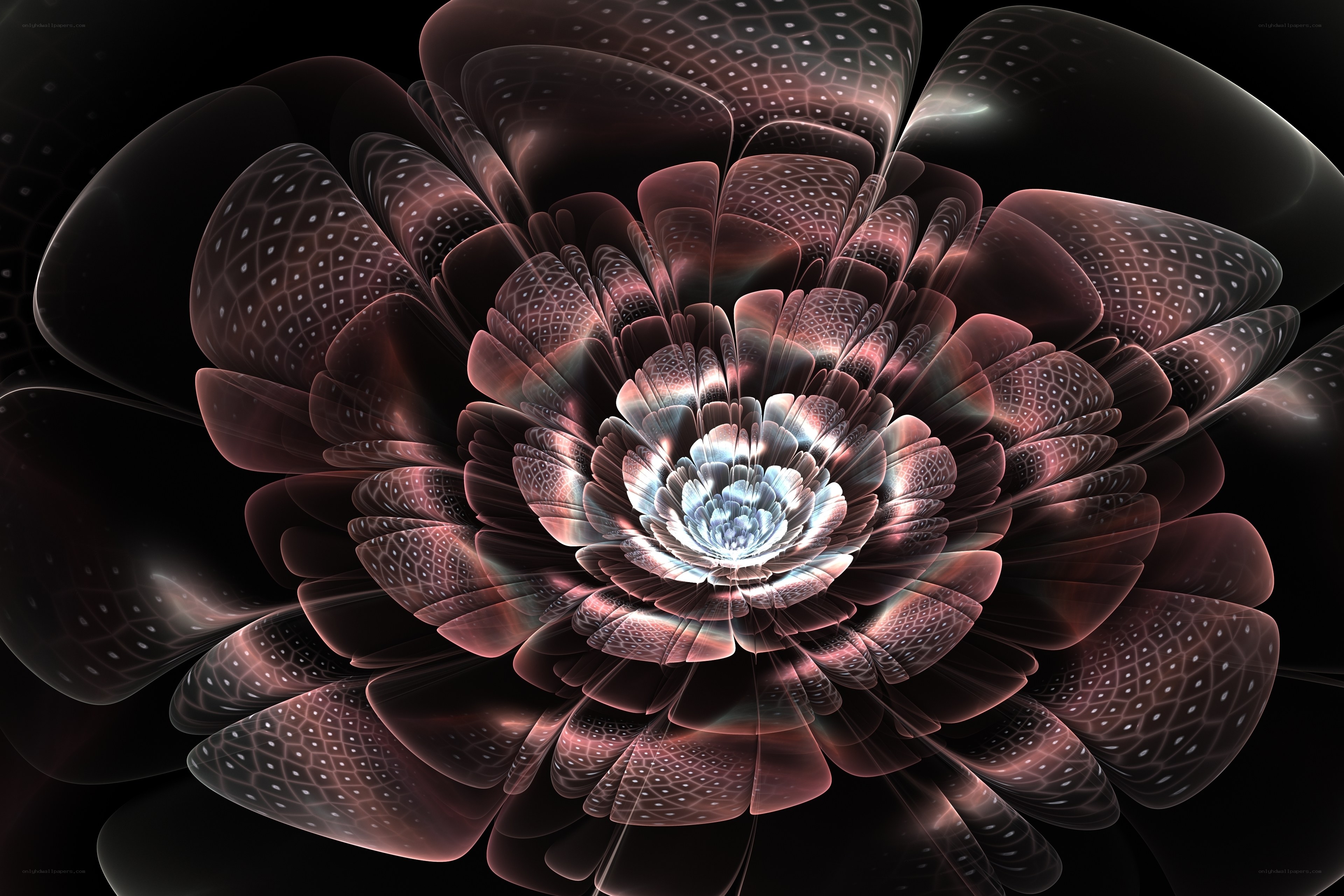 Fractal flower with glowing center
