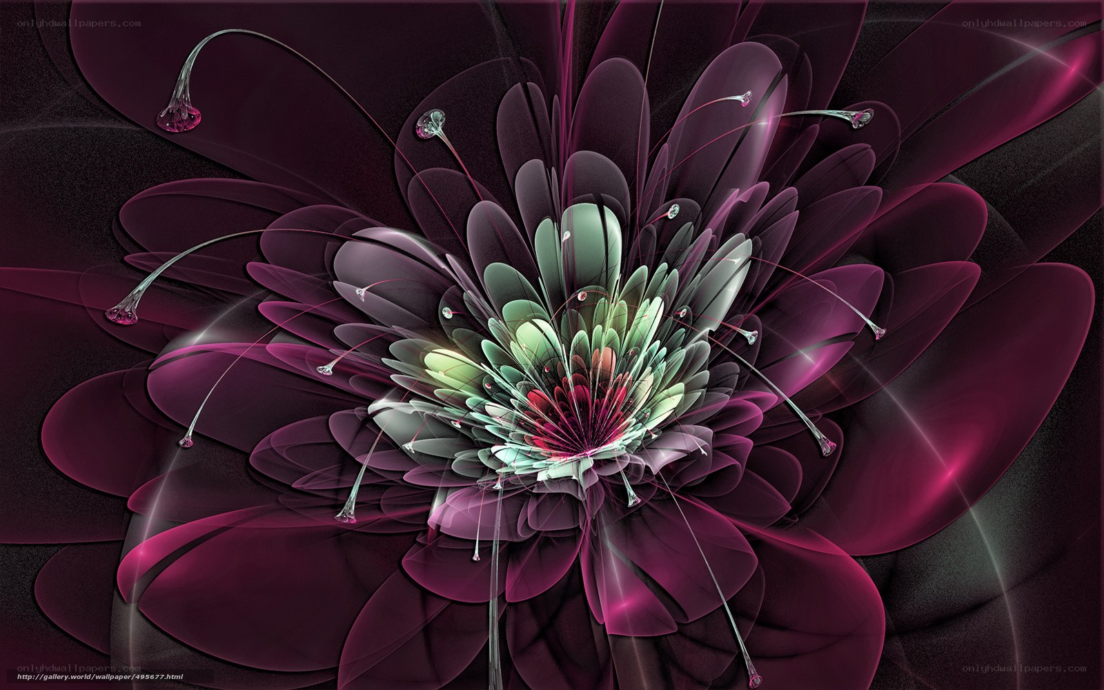 Fractal flower with glowing petals