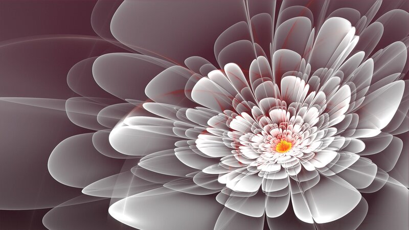 Fractal flower with glowing petals
