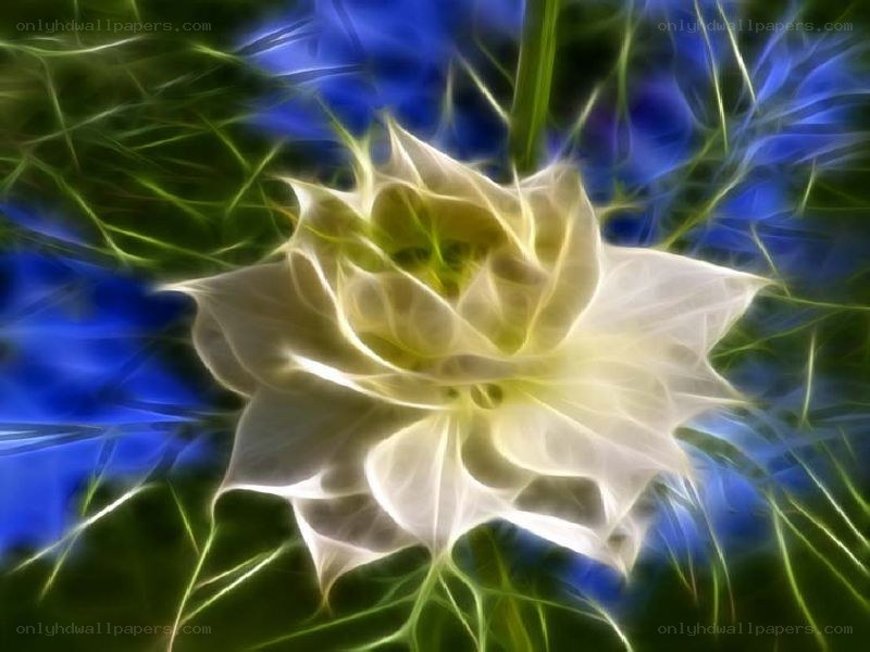 fractal flower with glowing petals