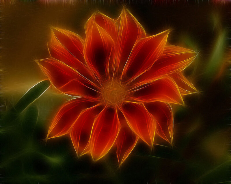 fractal flower with glowing petals
