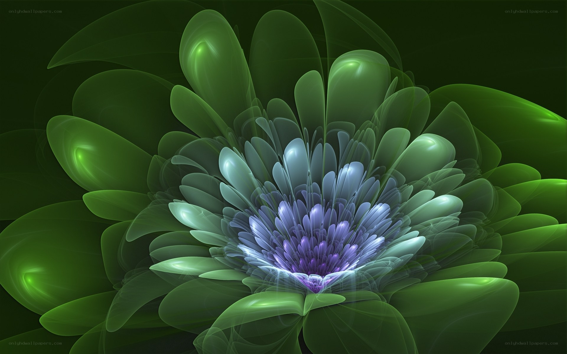 Fractal flower with glowing petals