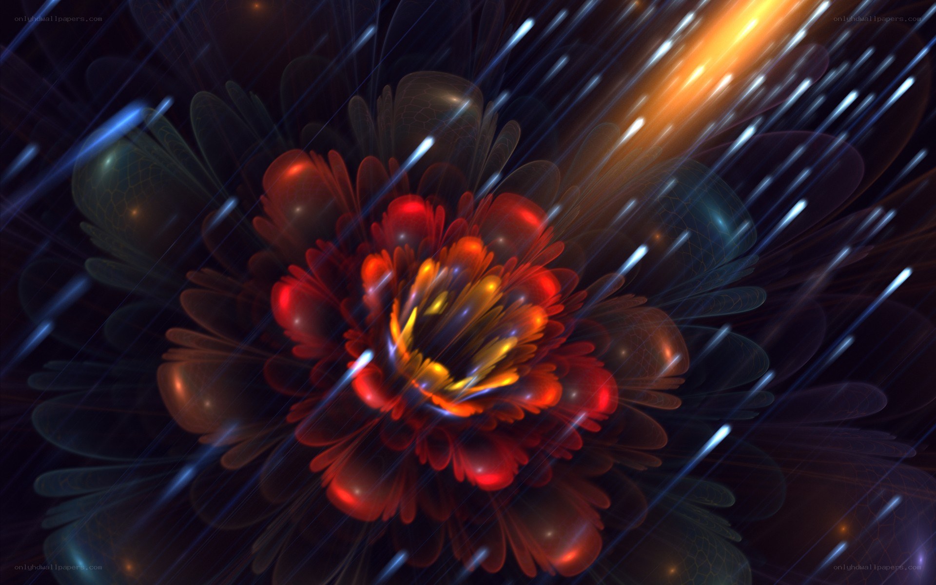 fractal flower with light streaks