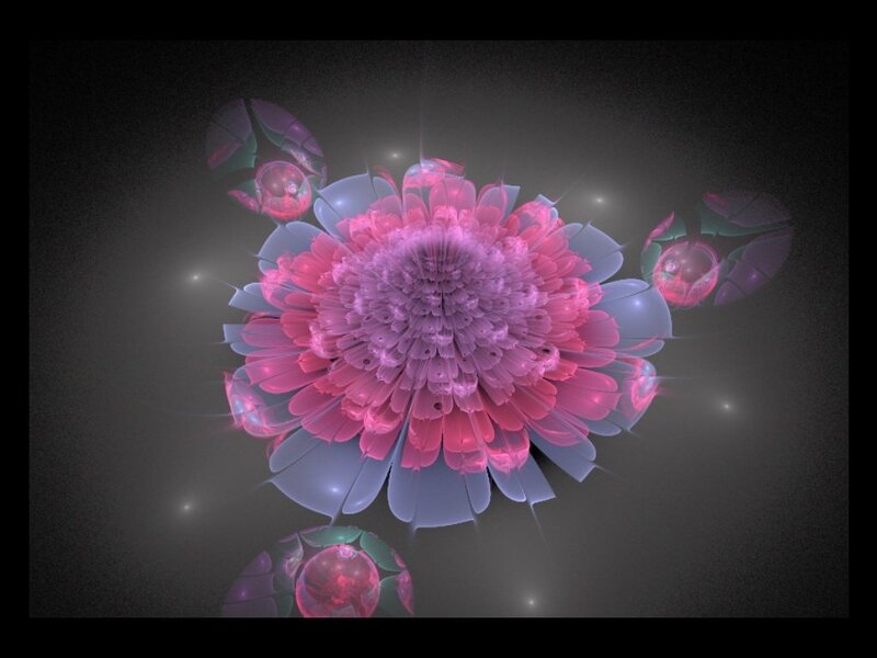Fractal Flower with Petals