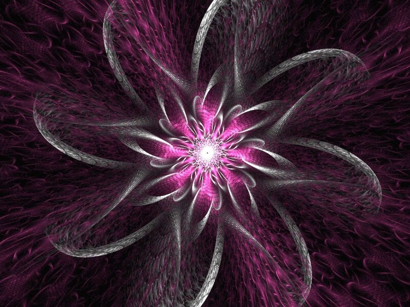 fractal flower with purple and silver