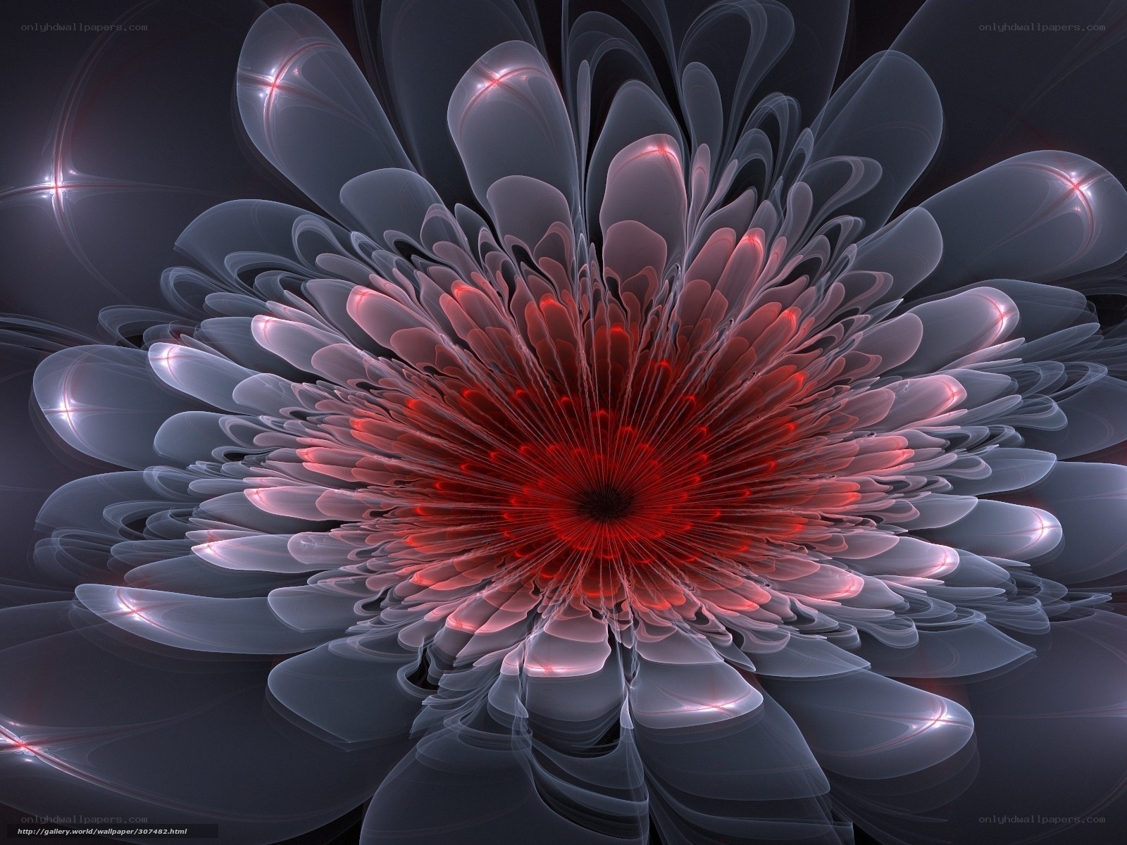 Fractal flower with red center