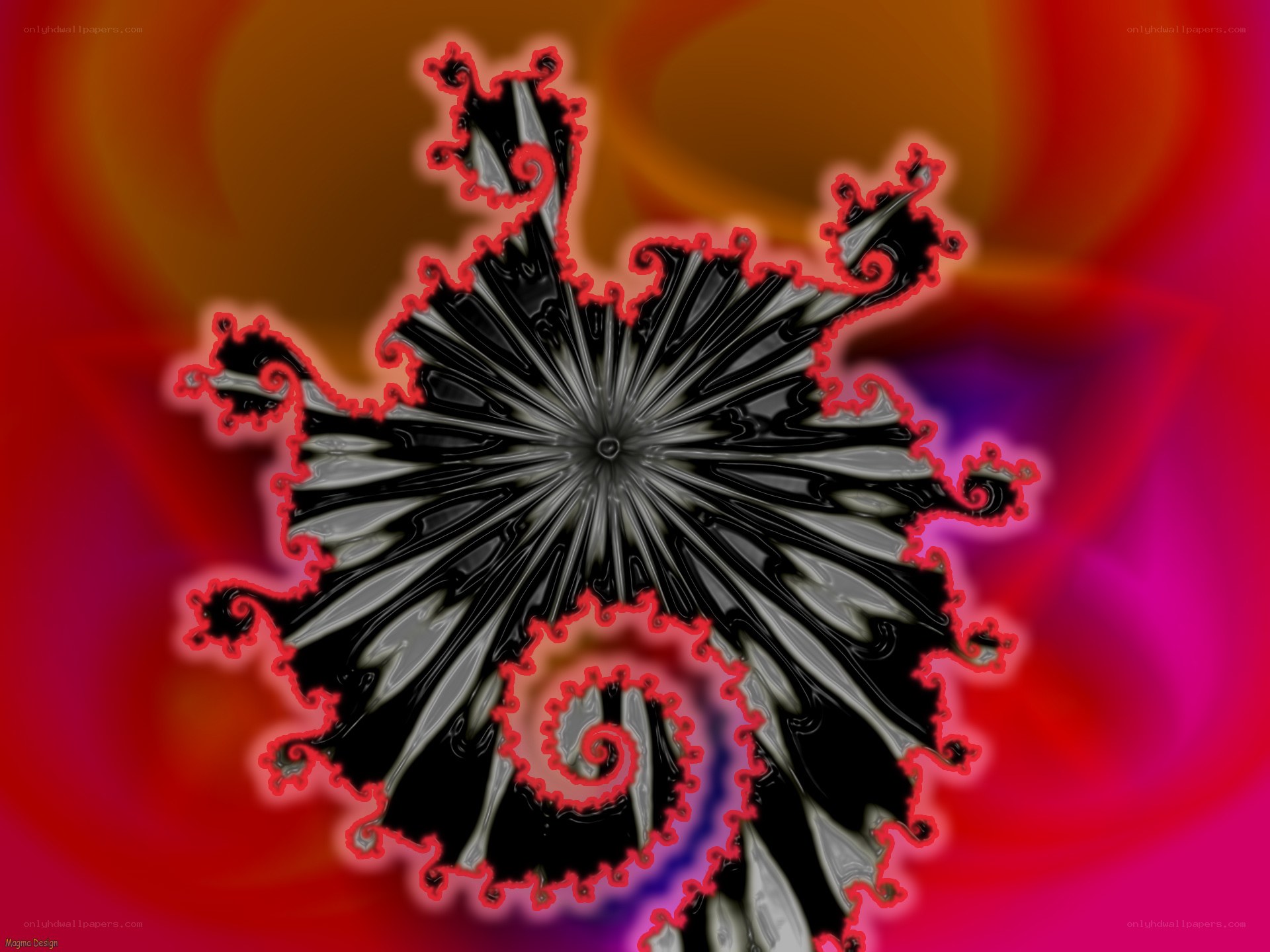 Fractal flower with red outline