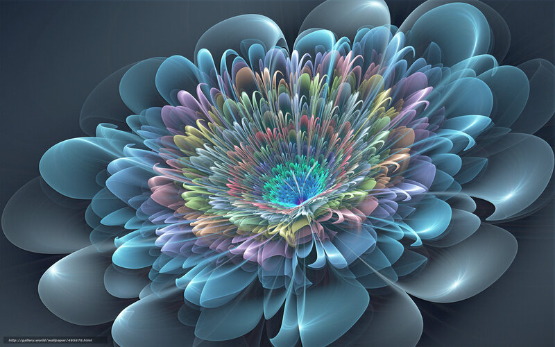 Fractal flower with vibrant colors