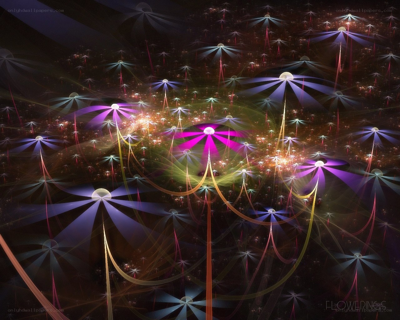 Fractal Flowering Lights