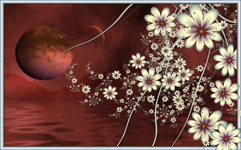 Fractal Flowers on Planet