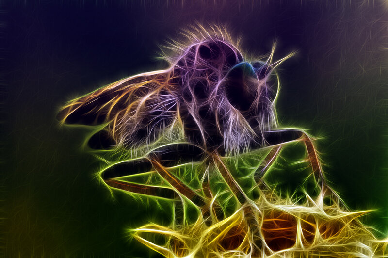Fractal Fly on Leaf