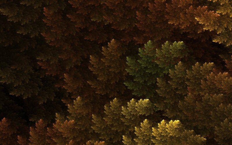 Fractal forest canopy