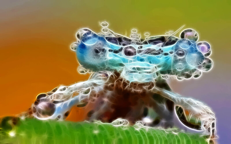 Fractal Frog on Leaf
