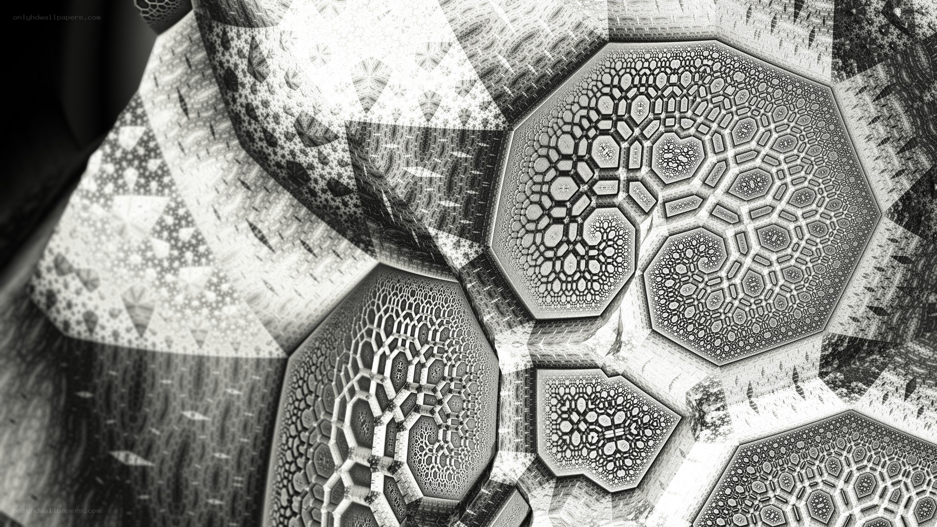 fractal geometric patterns