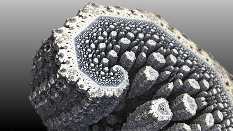 Fractal Geometric Structure — Gray