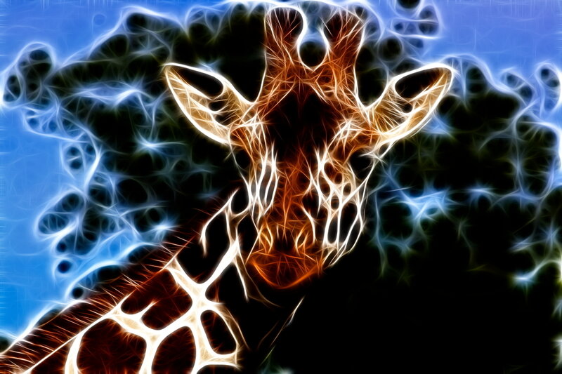 fractal giraffe portrait