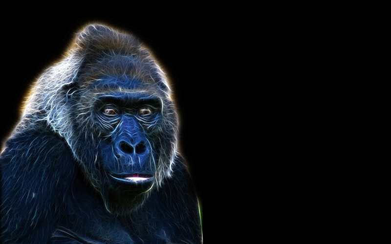 fractal gorilla portrait