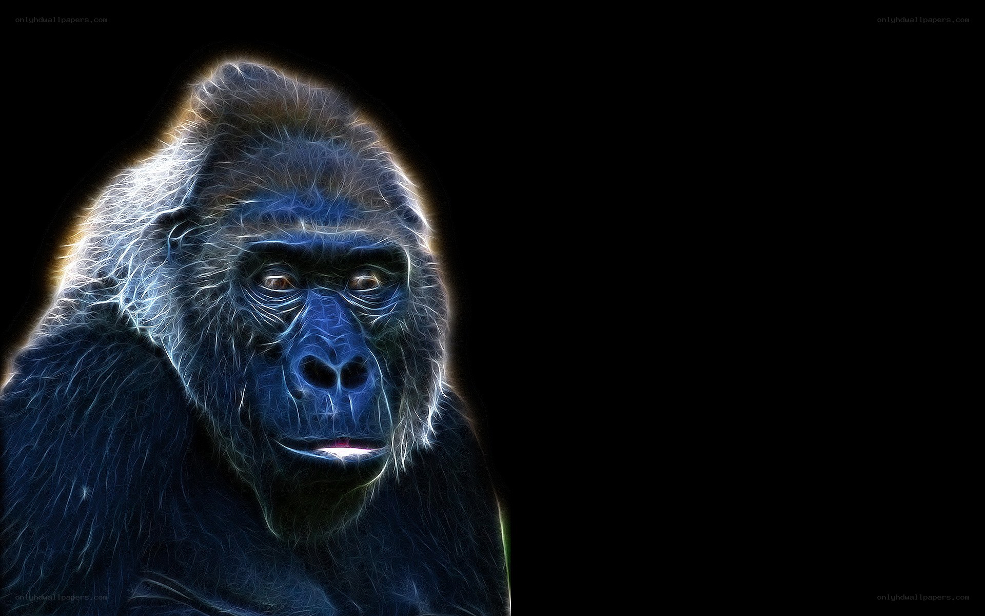 fractal gorilla portrait