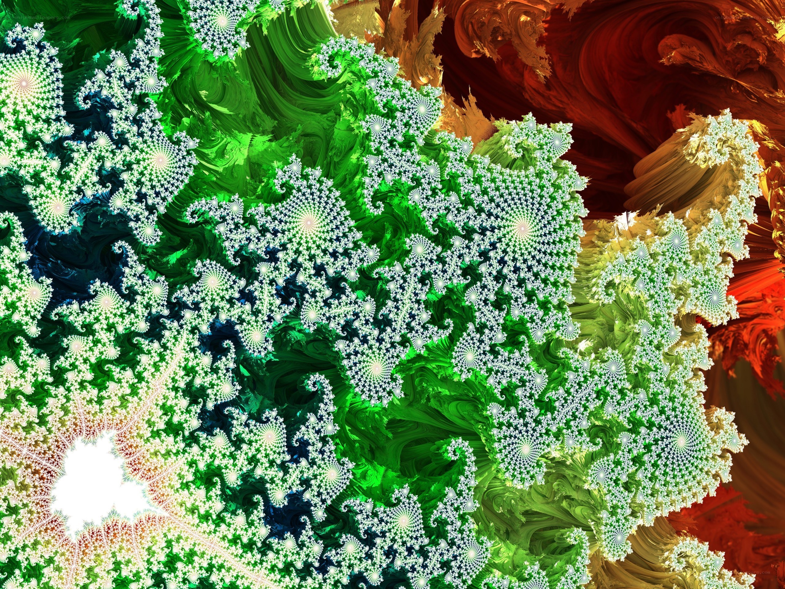 Fractal green and red patterns