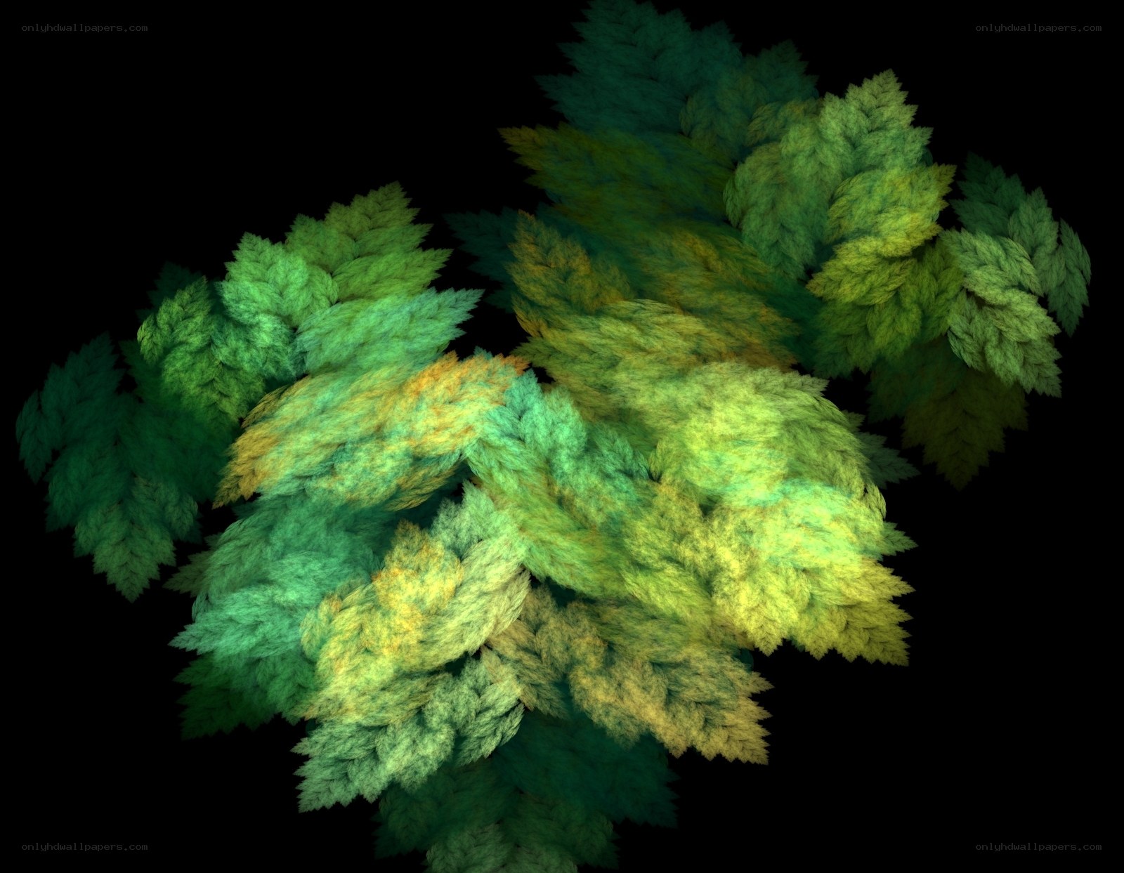 fractal green foliage
