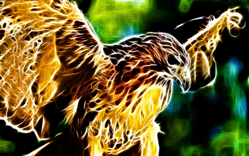 fractal hawk in flight