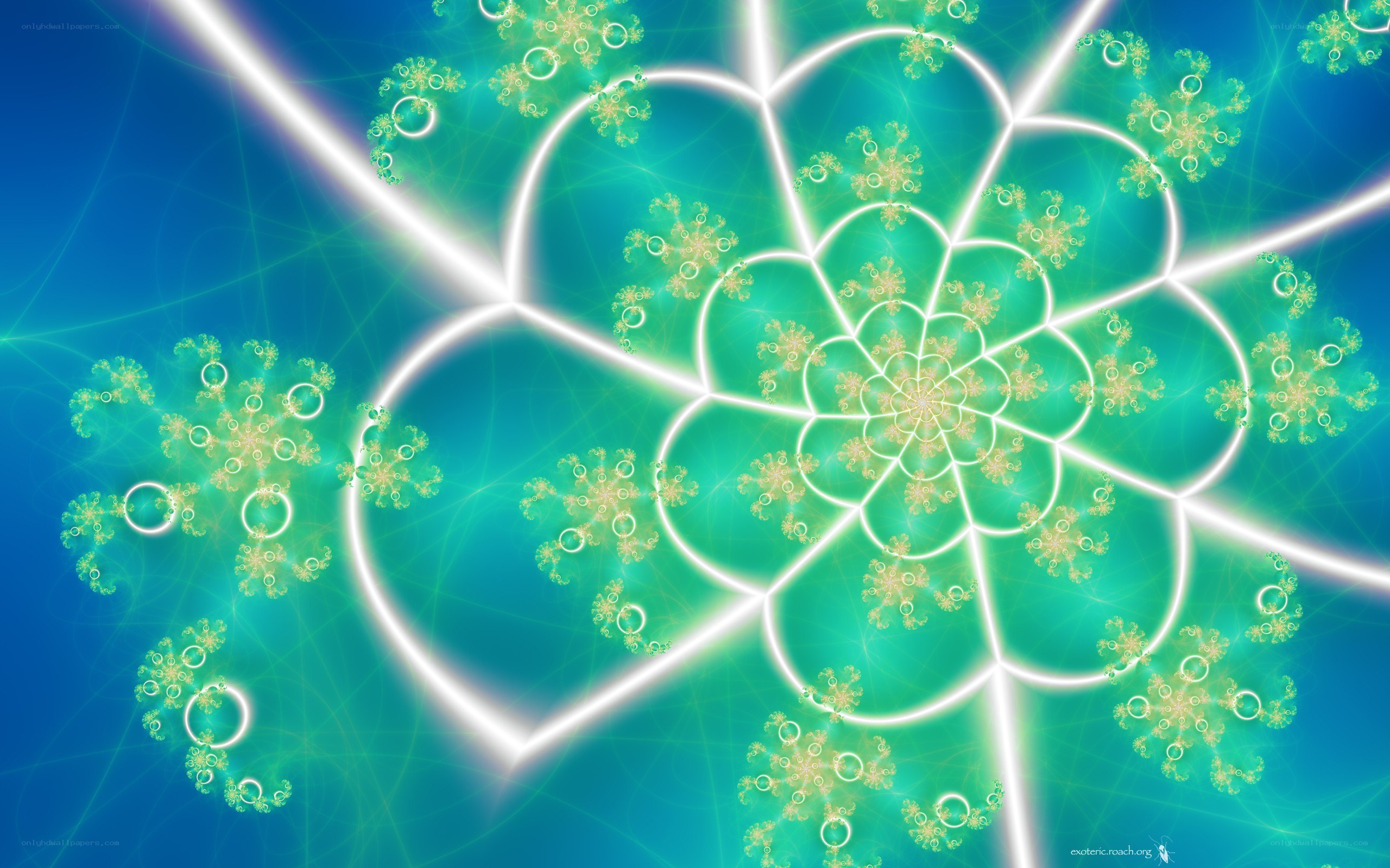 fractal heart flower pattern