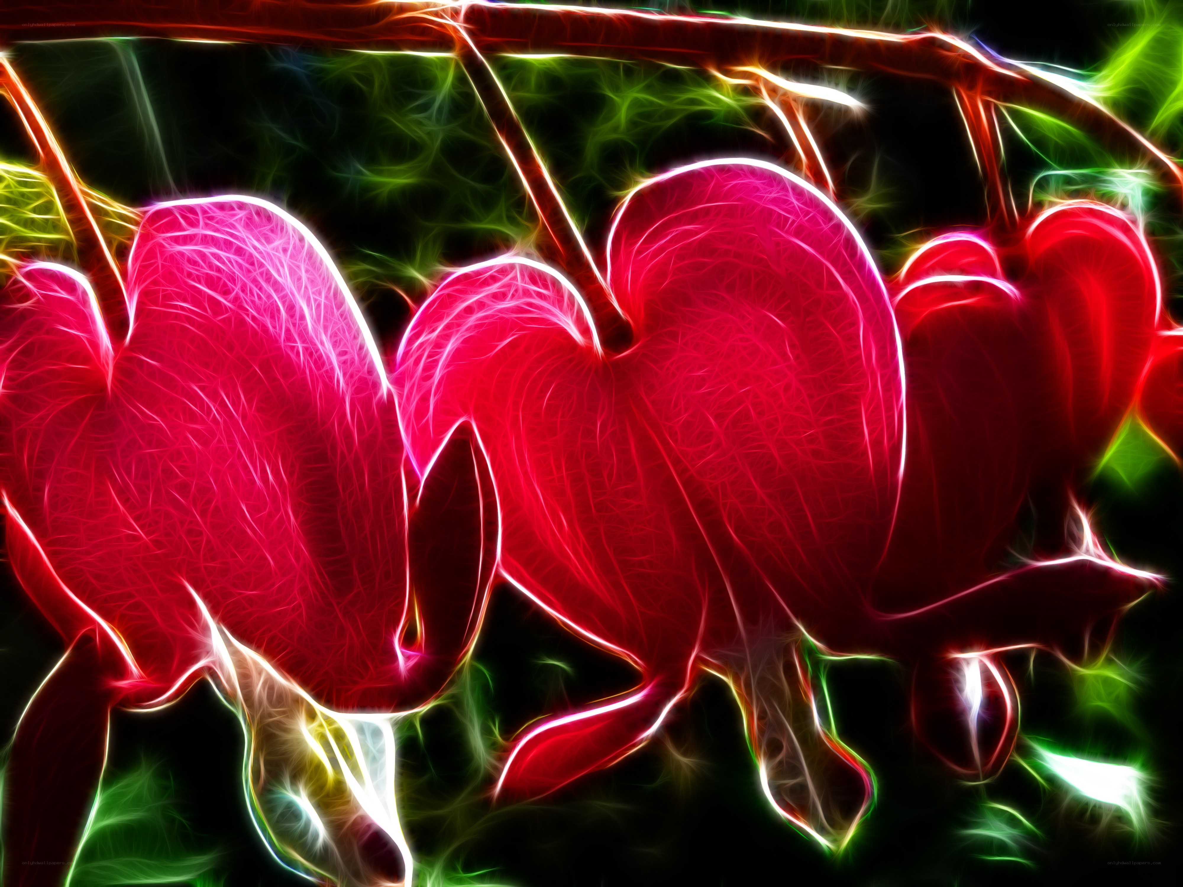 fractal heart-shaped flowers