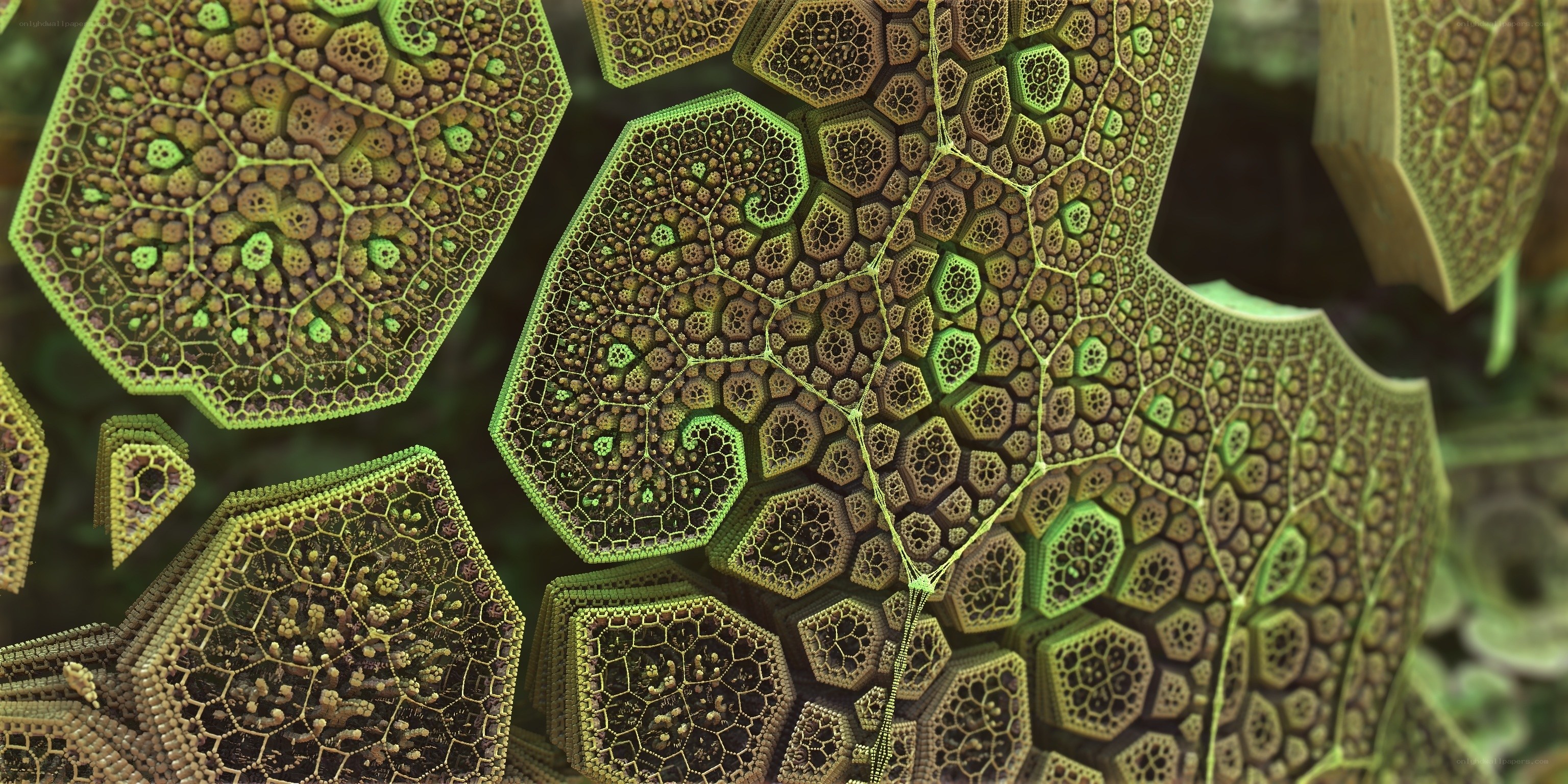 fractal honeycomb pattern