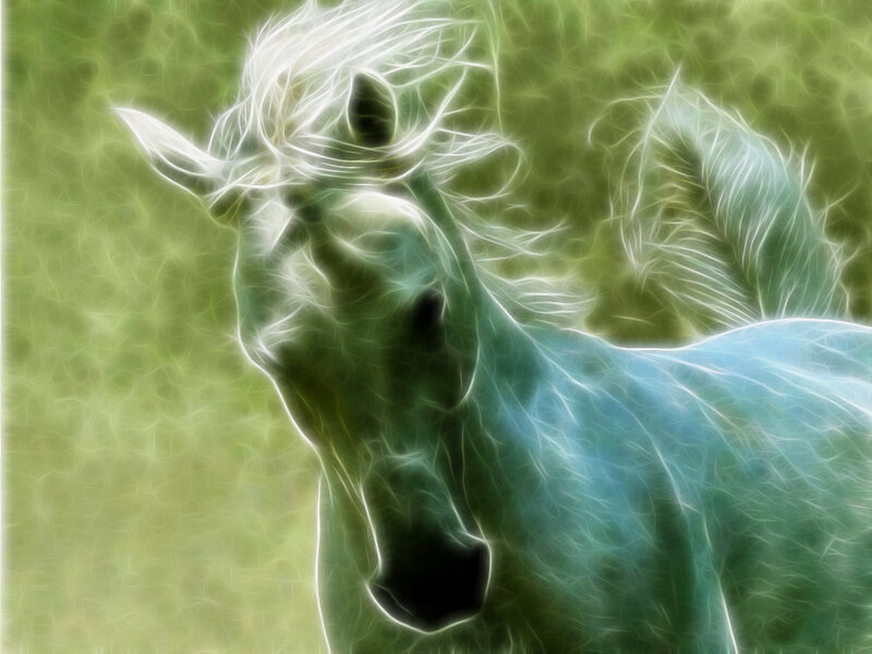 fractal horse art