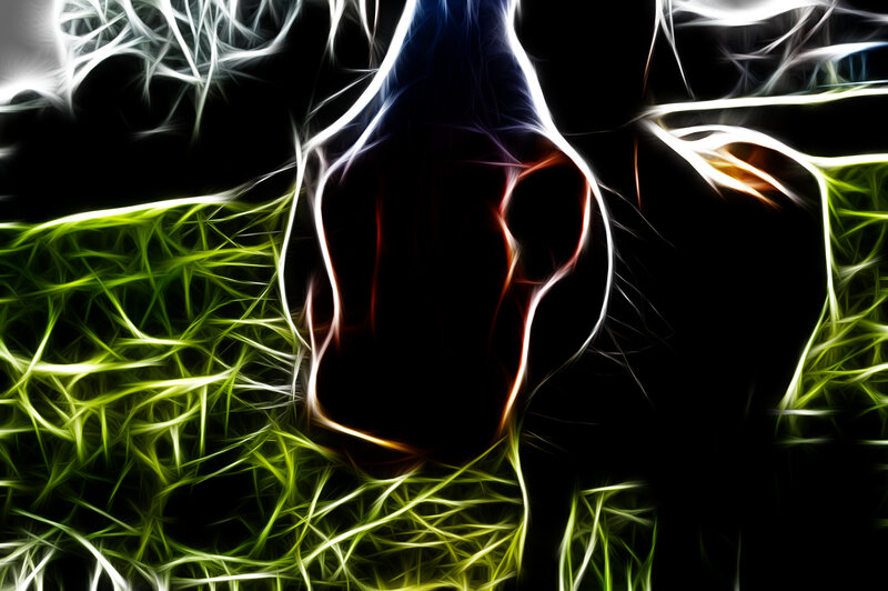 fractal horse head in grass