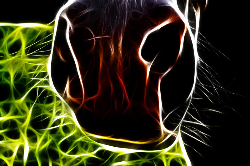 fractal horse head