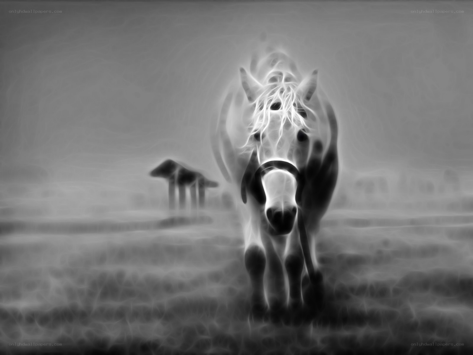 fractal horse in mist