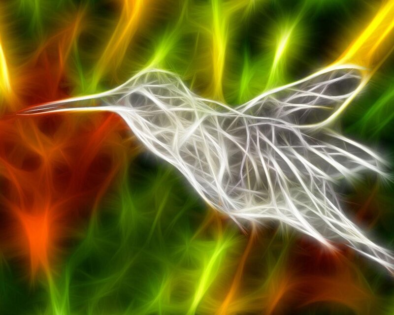 Fractal hummingbird in vibrant colors
