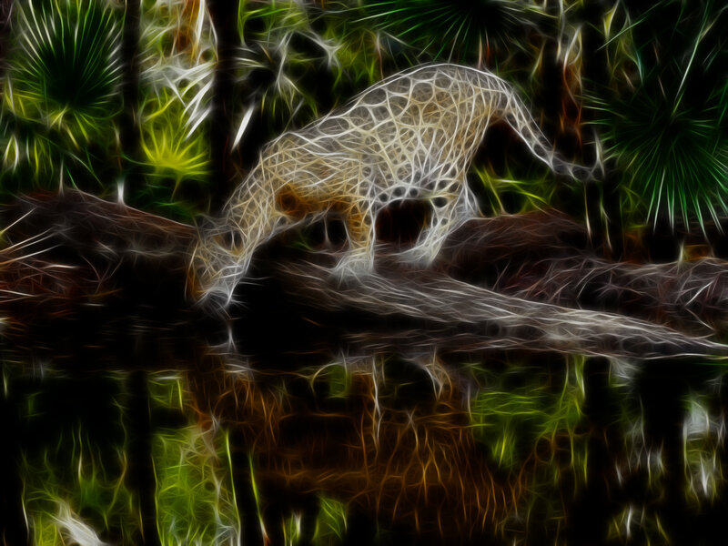Fractal jaguar in forest